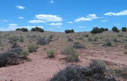 Tbd Ranch of the White Mountains, Concho, AZ 85924