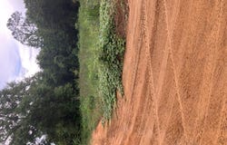 7 Acres Reeves St, Slocomb, AL 36375