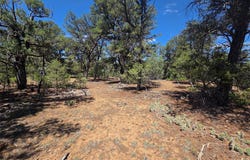 Lot 16 Unit 4, Tierra Amarilla, NM 87575
