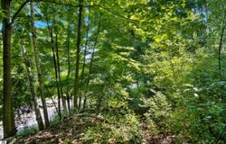 Lot 27 Bunker Hill Road, Williamsburg, MI 49690