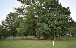 2824 Kingfisher Ln, Mount Pleasant, TX 75455