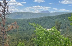 847 COUNTY ROAD 787, Alma, CO 80420