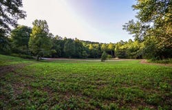 0 Cottonwood Lane, Blue Ridge, GA 30513