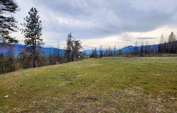 34XX NORTHPORT FLAT CREEK RD, KETTLE FALLS, WA 99141