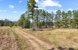 1615 Bob Williams road, Thicket, TX 77374
