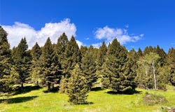 Riverview Lane lot: 2, Gallatin Gateway, MT 59730