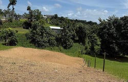 BO. TEJAS, YABUCOA, 00767