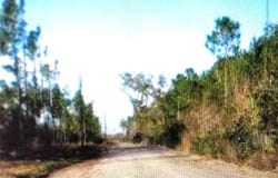 35 Acres MADISON MAIN LINE, PERRY, FL 32347