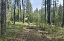 67 FIRST THOUGHT Loop, LAURIER, WA 99146