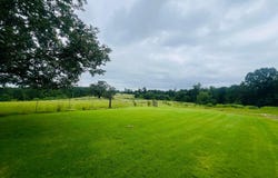 12501 STATE HWY 253, Brilliant, AL 35548