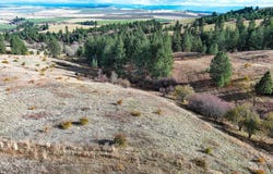 Tbd Over Yonder Road, CottonWood, ID 83522