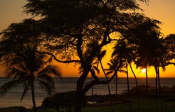 66-84 KAUNAOA DR unit: A21, Kamuela, HI 96743