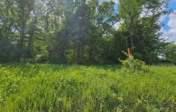 0 Carter 239, Ellsinore, MO 63937