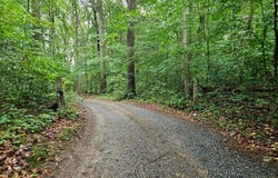 12442 CLARK ROAD, WORTON, MD 21646