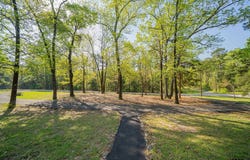 150 CR 4551, Winnsboro, TX 75494
