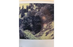 80 Ac M/Ll Tehachapi Unimproved, Tehachapi, CA 93561