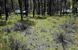 Tbd Victory Ln, Lowman, ID 83637