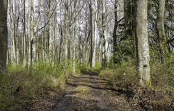 3199 Woodcock Rd, Sequim, WA 98382