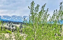 142 PUMA COURT, Como, CO 80432