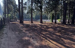 7075 Alward Way, Shingletown, CA 96088