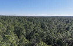 Old Train Road, Deltona, FL 32738