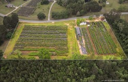 401 Buckatunna Chicora Clara Rd., Waynesboro, MS 39367