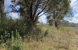 0 Highway 25, Vincent, AL 35178