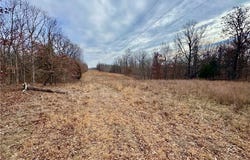 TBD Raven  RD, Granby, MO 64844
