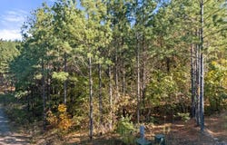 24 Cedar Tree Trail, Broken Bow, OK 74728