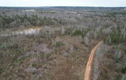 Tbd County Road 378, Laneville, TX 75667