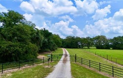 938 Schubrych Antis Rd (+/-20.99 acres), Bremond, TX 76629