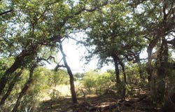 Lots 53-54 Janda Lane, Brownwood, TX 76801