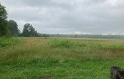125.87 Acres JOHNS LANE, Medford, WI 54451