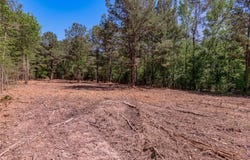 T4 677 CR 4200, Pennington, TX 75856