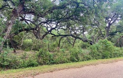 TBD Loose Cow Road, Garwood, TX 77442