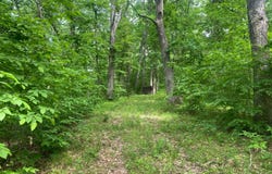 2-46 Wild Turkey Lane, Moravia, IA 52571