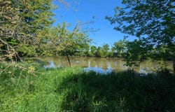 Dixon Road, Monroe, MI 48161
