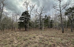 547 S. Old Potato DR, Paige, TX 78602