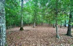 170 Water Oak Way, Mount Gilead, NC 27306