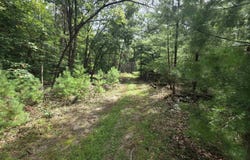 10.33 Acres 47th Street, Mauston, WI 53948
