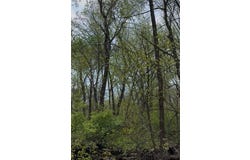5834 Timber Creek Road, Cedar Rapids, IA 52411