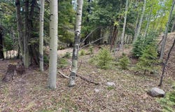 Lot 455 El Camino Real, Angel Fire, NM 87710