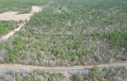 Walling Rd lot: 5, Milton, FL 32570