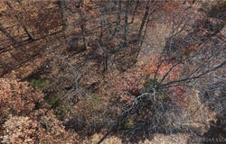 Dennison Drive lot: 64, Linn Creek, MO 65052