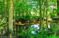 19 Pompeys Cave Road, High Falls, NY 12440