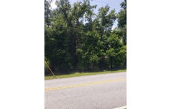 REYNOLDS ROAD, DE LEON SPRINGS, FL 32130