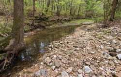 Highway 32, Licking, MO 65542