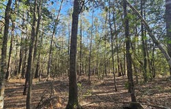 0000 Joe Allen Extension, Kountze, TX 77625