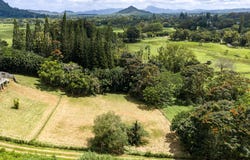 PUUOPAE RD, Kapaa, HI 96746