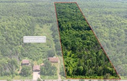 20 Acres TBD Dukes Road, Skandia, MI 49885